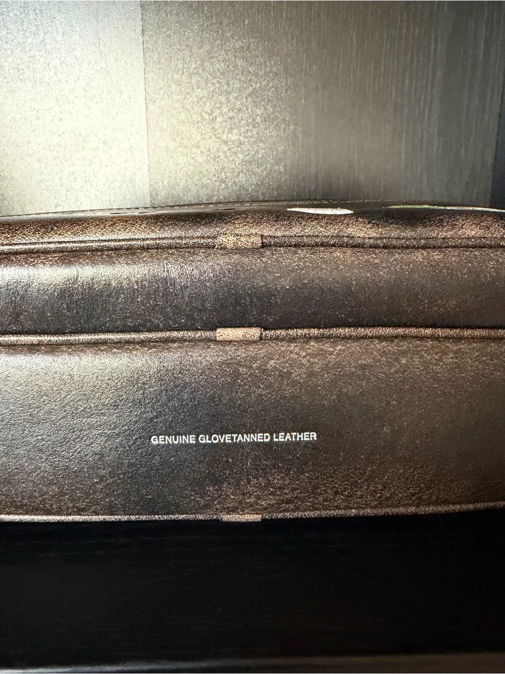 Coach Rexy Dakota Crossbody Bag